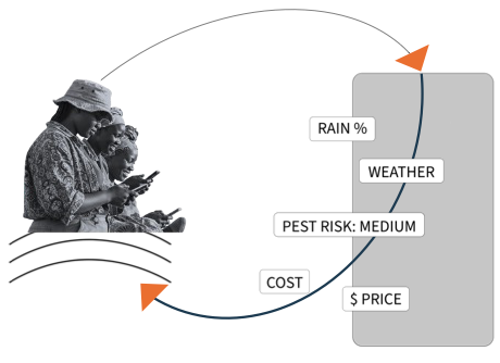 Data Democracy <sup>℠</sup>